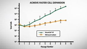 MesenCult™-XF Introduction: A Defined, Xeno-free Medium for Human MSCs