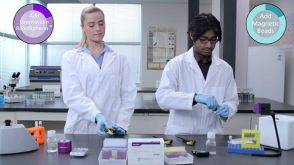 Comparison of Mouse Immune Cell Isolation Protocols: EasySep™ vs. Column-Based Magnetic Separation