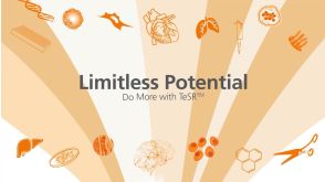 Limitless Potential: Do More with TeSR™