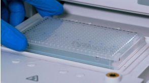 How to Set Up a hPSC Genetic Analysis Kit Experiment