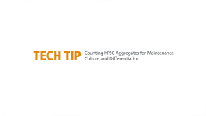 Counting hPSC Aggregates for Maintenance Culture and Differentiation