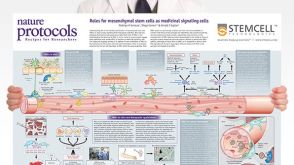 Roles for MSCs as Medicinal Signaling Cells