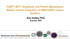 Choosing the Right Medium for Your hPSC Culture