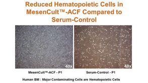 A Novel, Animal Component-Free (ACF) Culture System for Efficient Isolation, Expansion and Cryopreservation of Human MSCs