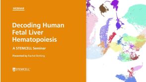 Decoding Human Fetal Liver Hematopoiesis