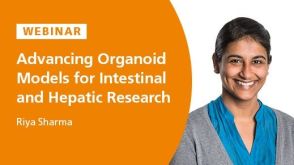Advancing Organoid Models: Introducing New Capabilities for Intestinal and Hepatic Research