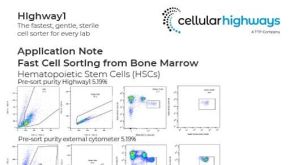 Highway1 Fast Cell Sorting from Bone Marrow