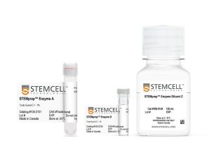 STEMprep™小鼠脑解离试剂盒