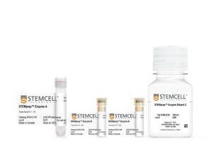 STEMprep™小鼠肺解离试剂盒