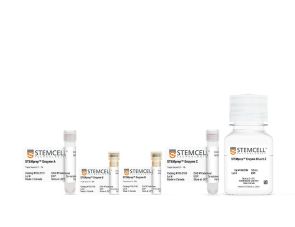 STEMprep™小鼠肿瘤解离试剂盒