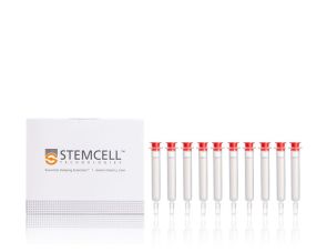 细胞外囊泡SEC柱