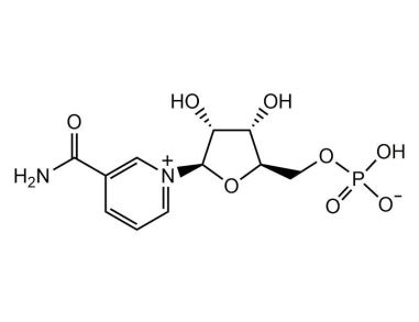 β-烟酰胺单核苷酸