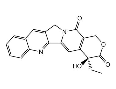 喜树碱（Camptothecin）