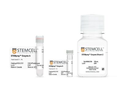 STEMprep™小鼠脑解离试剂盒
