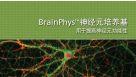 BrainPhys&trade; 神经元培养基用于提高神经元功能性