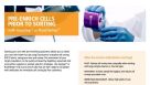 Cell Enrichment Prior to Cell Sorting