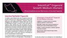 IntestiCult™ Organoid Growth Medium (Human)