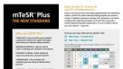 mTeSR™ Plus Stabilized Feeder-Free Media