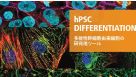 hPSC Differentiation: 多能性幹細胞由来細胞の研究用ツール