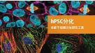hPSC分化 多能干细胞衍生研究工具