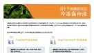 用于干细胞研究的冷冻保存液