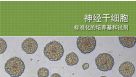 神经干细胞: 标准化的培养基和试剂