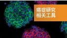 癌症研究相关工具
