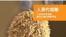 人原代细胞: 一切成功的实验都从正确的细胞开始