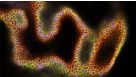 How to Establish, Expand, and Cryopreserve hPSC-Derived Liver Organoids