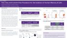 Cell Isolation of Human Memory B Cells
