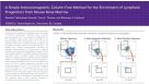 Immunomagnetic Cell Enrichment of Lymphoid Progenitors from Mouse Bone Marrow