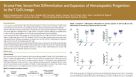 Stroma-Free, Serum-Free Differentiation and Expansion of Hematopoietic Progenitors to the T Cell Lineage