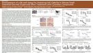 Development of a 96-well Assay for Assessing Cell Viability in Mouse Small Intestinal-Derived Organoids after Treatment with Cytotoxic Compounds