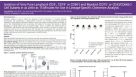 Isolation of Very Pure Lymphoid (CD3+, CD19+ or CD56+) and Myeloid (CD15+ or CD33/CD66b+) Cell Subsets