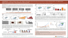 STEMdiff Hematopoietic Kit Reproducibly Generates Functional Hematopoietic Progenitor Cells