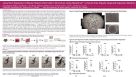 Long-Term Expansion of Mouse Hepatic Stem Cells in 3D Culture Using HepatiCult: A Serum-Free Hepatic Organoid Expansion Medium
