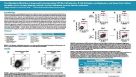The Hybridoma Workflow is Improved by Incorporating CD138+ Cell Selection