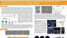 Efficient, Reproducible and High-Throughput-Compatible Protocols