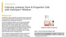 Culture and Expansion of Chronic Myeloid Leukemia Cells