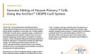 Genome Editing of Human Primary T Cells