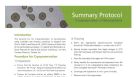Cryopreserving Neurospheres