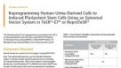 Reprogramming Human Urine-Derived Cells to Induced Pluripotent Stem Cells Using an Episomal Vector System in TeSR-E7 or ReproTeSR
