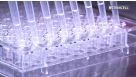 How to Perform Semi-Solid Cloning of CHO Cell Lines in 96-Well Plates Using ClonaCell™-CHO Medium