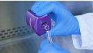 How to Isolate Cells with EasySep™