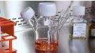 mTeSR™3D: Simplify your hPSC Suspension Culture and Scale Up
