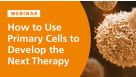 How to Use Primary Cells to Develop the Next Therapy