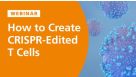 How to Create CRISPR-Edited T Cells